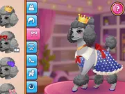 Pet Fashion Stylist