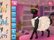 Pet Fashion Stylist