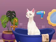 Pet Fashion Stylist