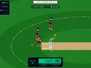 World Cup Cricket