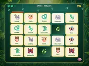 Memory Safari