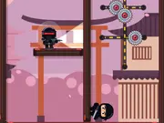 Stealth Ninja