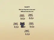 Brain Crazy: IQ Challenge Puzzle
