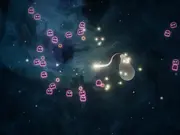 Star Lasso