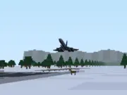 Can You Land?