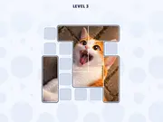 Slide the Blocks: Build the Pictures!