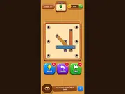 Wood Plank Screw Puzzle