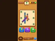 Wood Plank Screw Puzzle