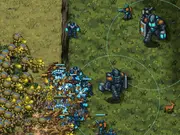 Ironbloom