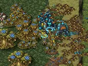 Ironbloom