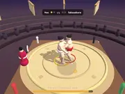 Ragdoll Sumo