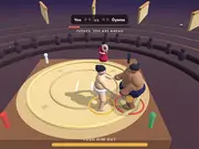 Ragdoll Sumo
