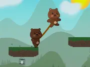 BearTether