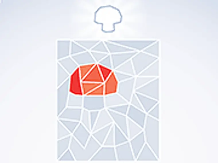 Polyshapes