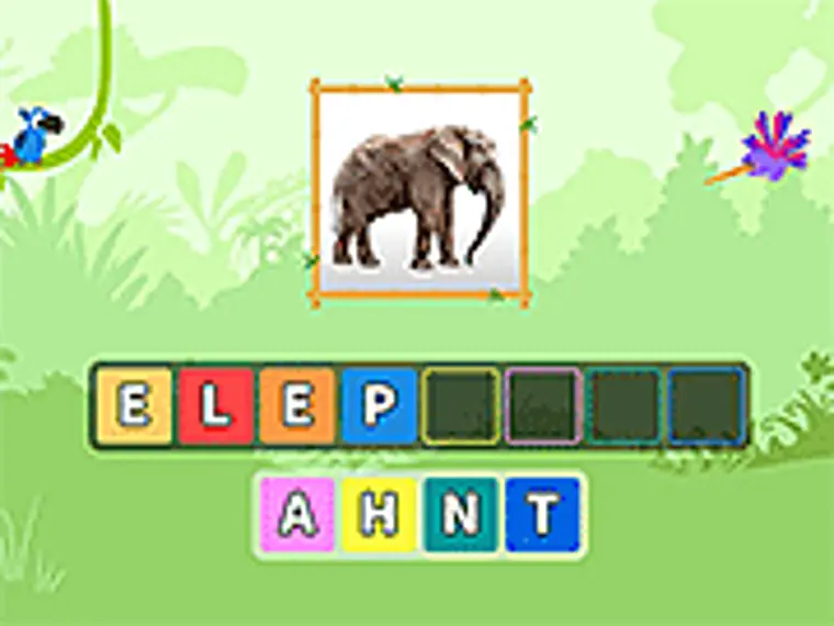 storyzoo