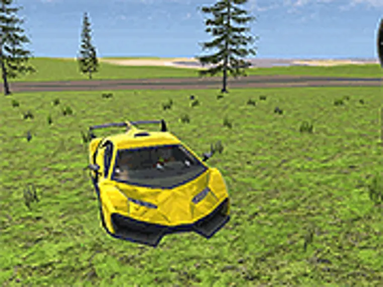 car simulation